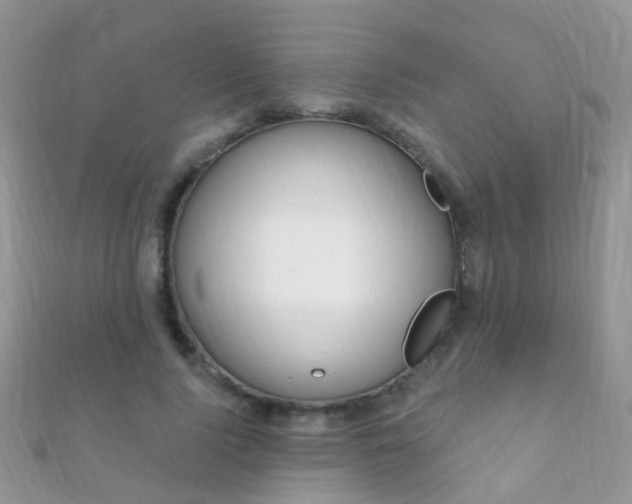 X0000112080740200908111454