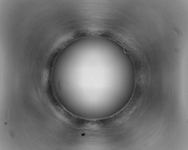 X0000112080742200908111454