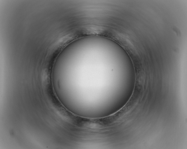 X0000112080743200908111454