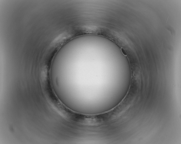 X0000112080744200908111454
