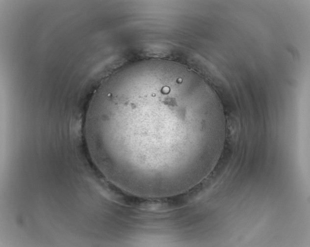 X0000112080745200908111454