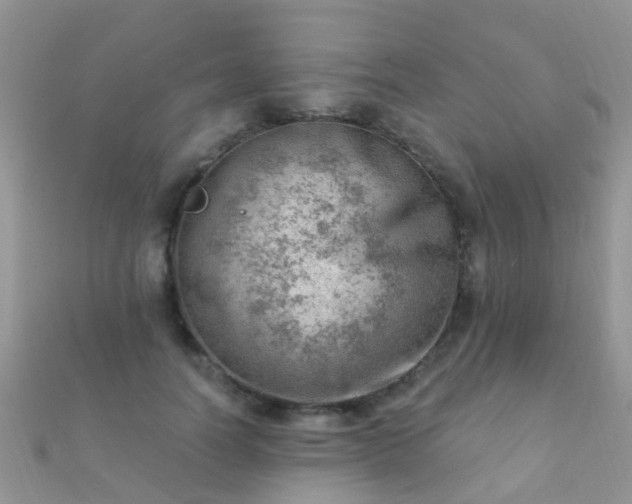 X0000112080746200908111454