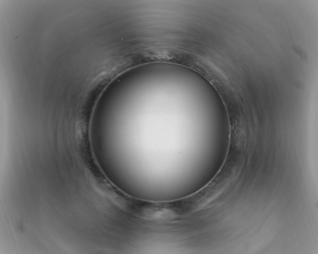 X0000112080747200908111454