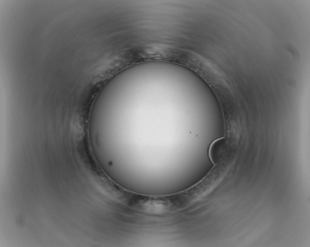 X0000112080751200908111455