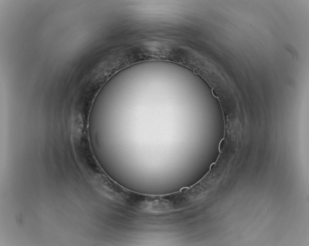 X0000112080752200908111455