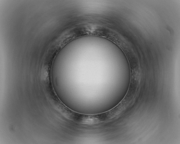 X0000112080754200908111455