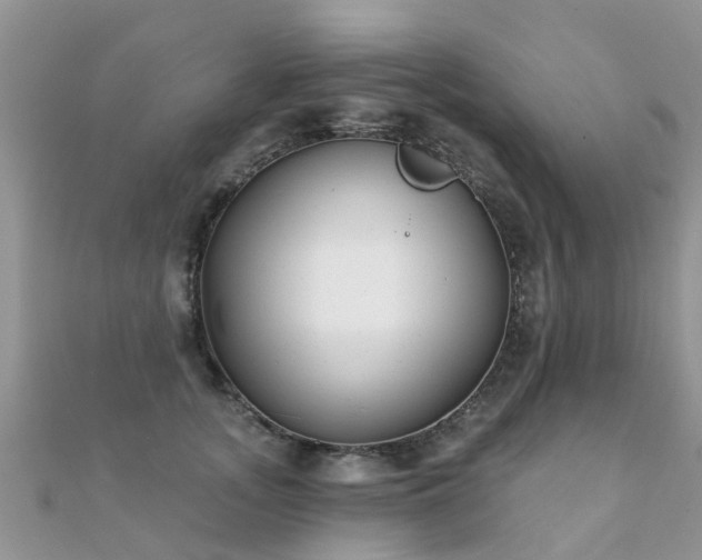X0000112080755200908111455