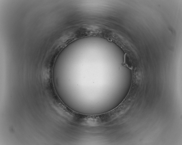 X0000112080756200908111455