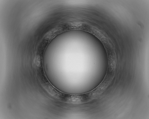 X0000112080758200908111455