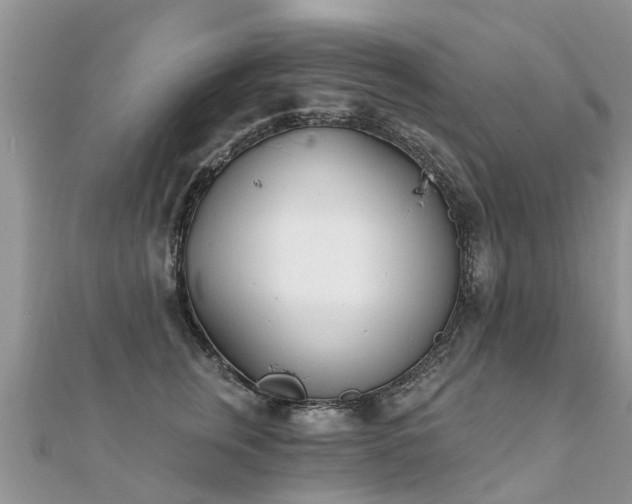 X0000112080759200908111455