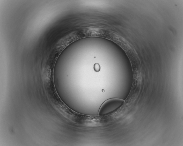 X0000112080760200908111455