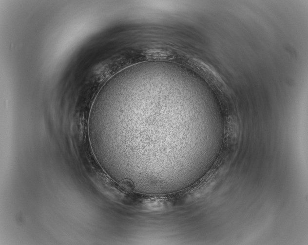 X0000112080761200908111455