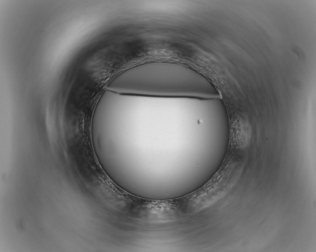 X0000112080762200908111455