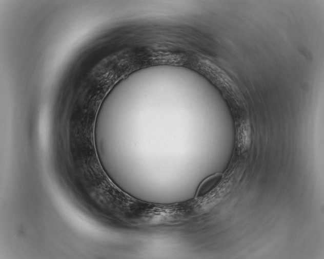 X0000112080764200908111455