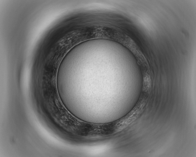 X0000112080765200908111455