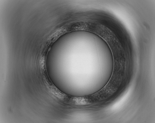 X0000112080767200908111455