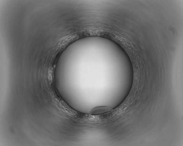 X0000112080768200908111455