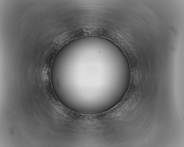 X0000112080770200908111454