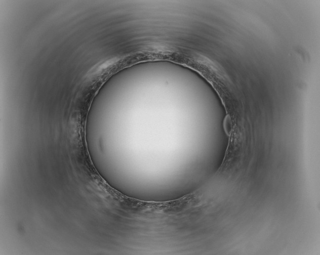 X0000112080773200908111454