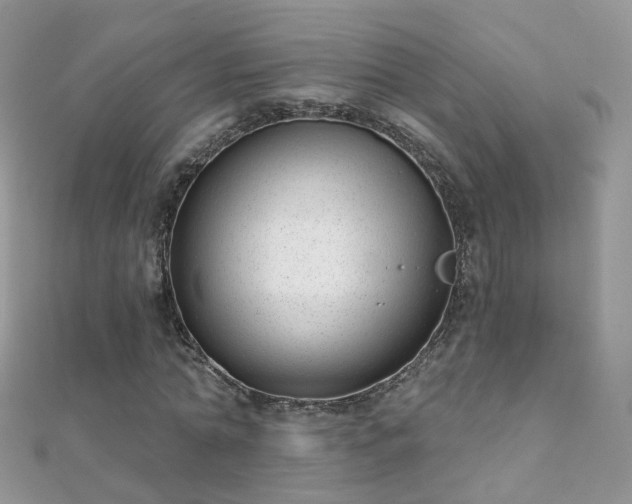 X0000112080774200908111454