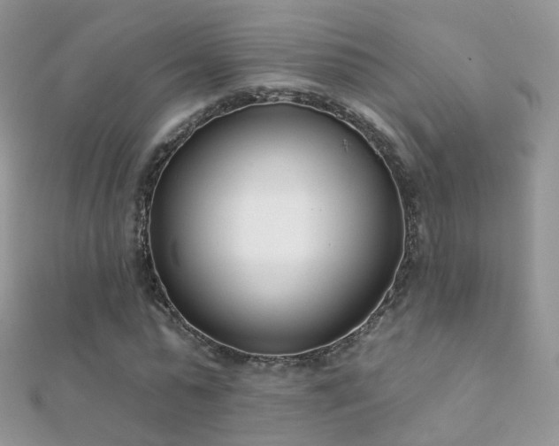 X0000112080775200908111454