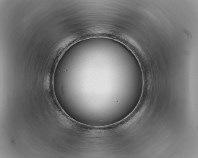X0000112080777200908111454