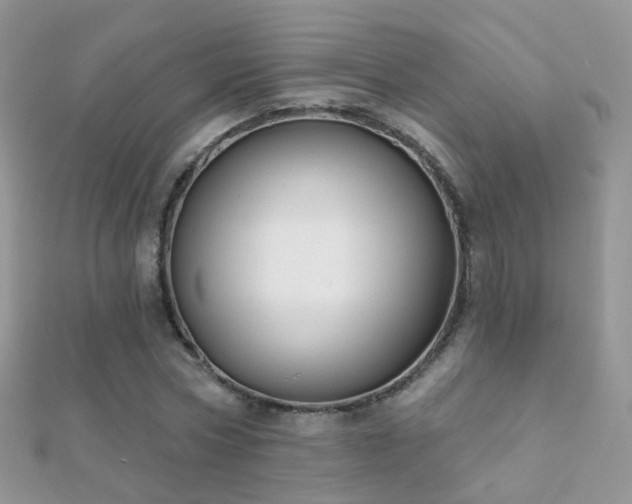 X0000112080778200908111454