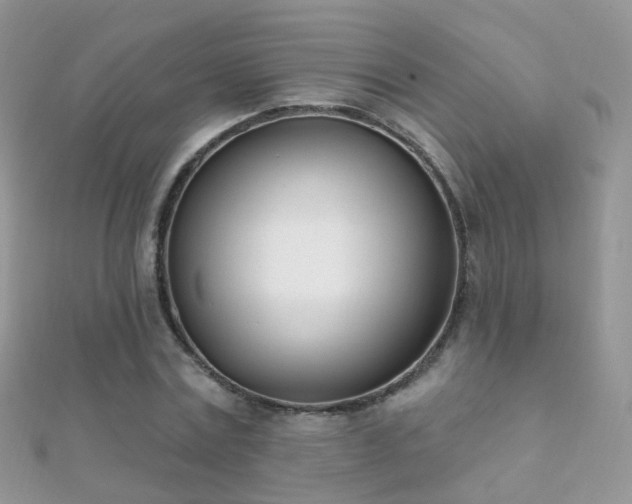 X0000112080779200908111454