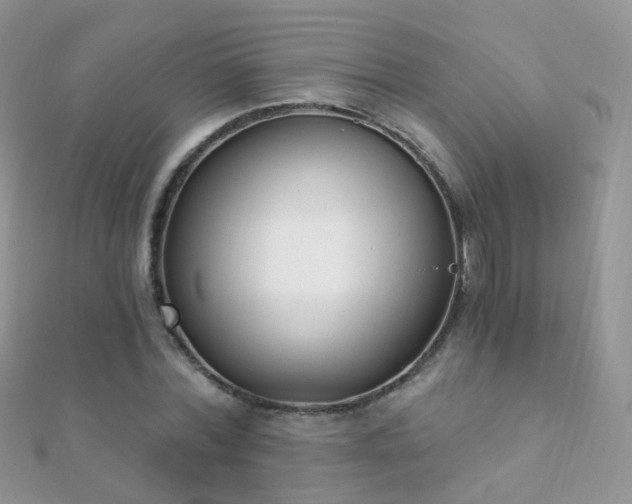 X0000112080780200908111454