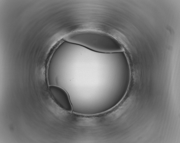 X0000112080781200908111454