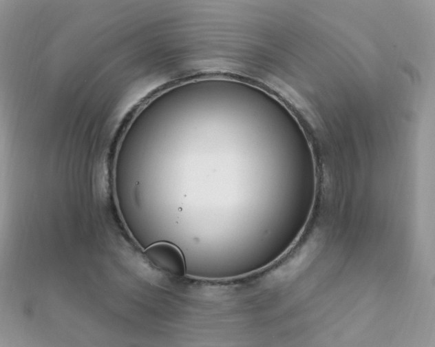 X0000112080782200908111454