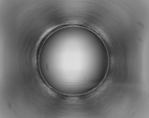 X0000112080784200908111454