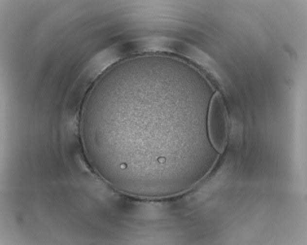 X0000112080785200908111454