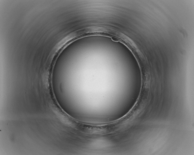 X0000112080786200908111454