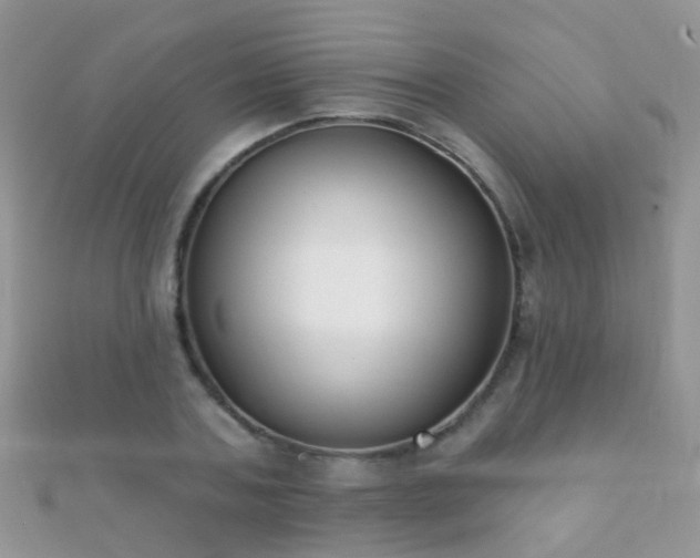 X0000112080787200908111454