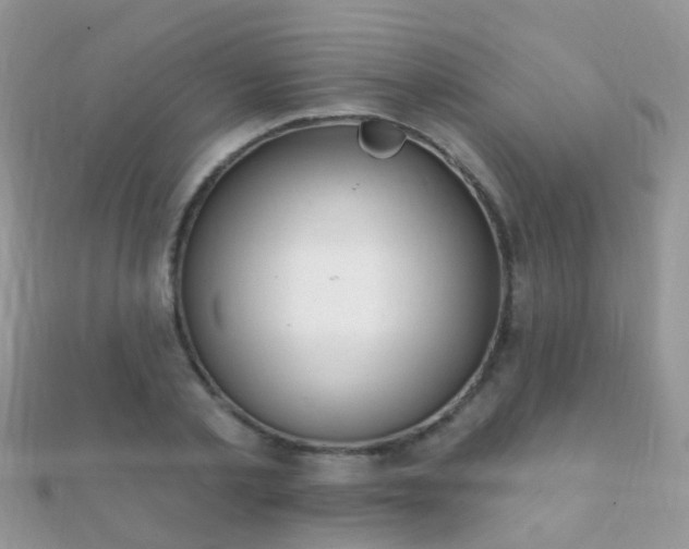 X0000112080789200908111454