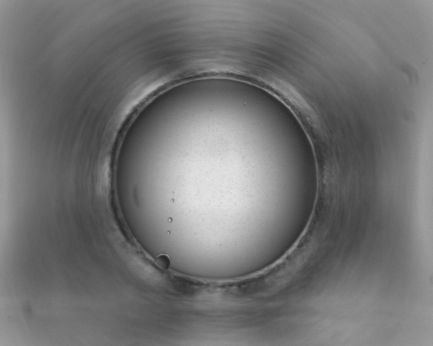 X0000112080790200908111453