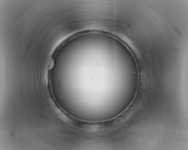 X0000112080791200908111453
