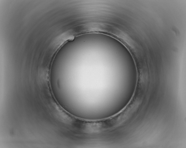 X0000112080793200908111453