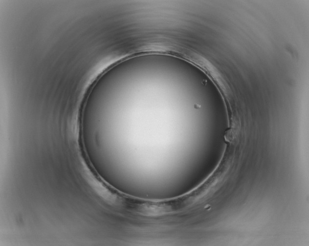 X0000112080795200908111453