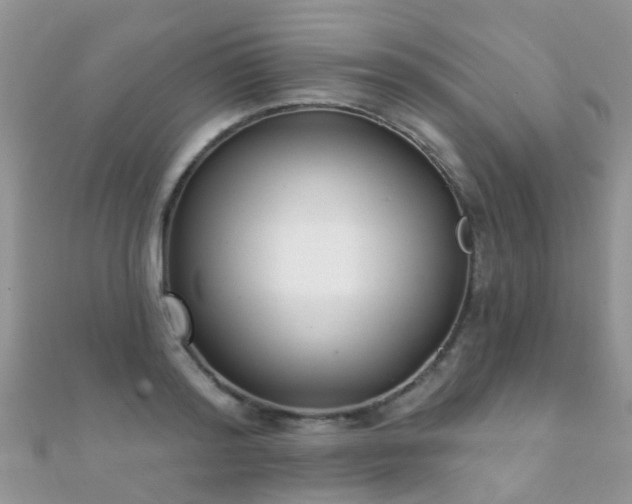 X0000112080796200908111453