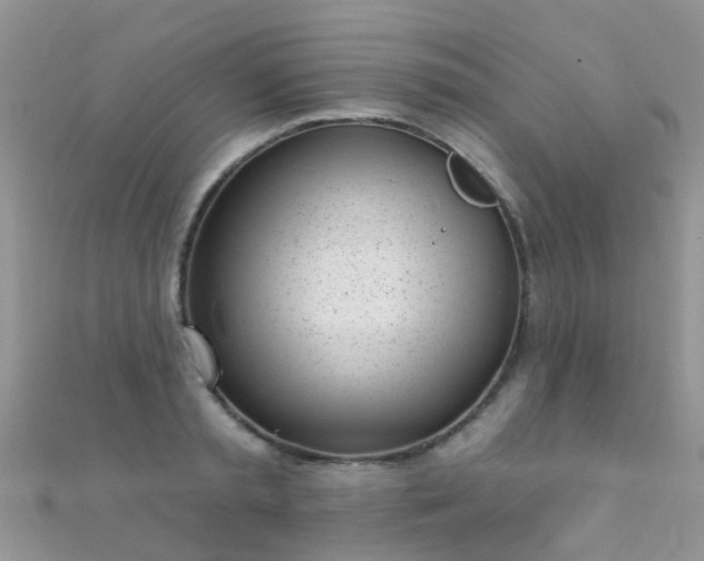 X0000112080797200908111453