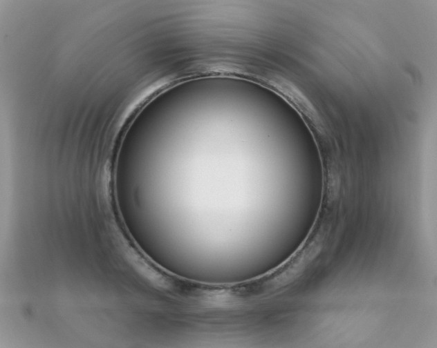 X0000112080798200908111453