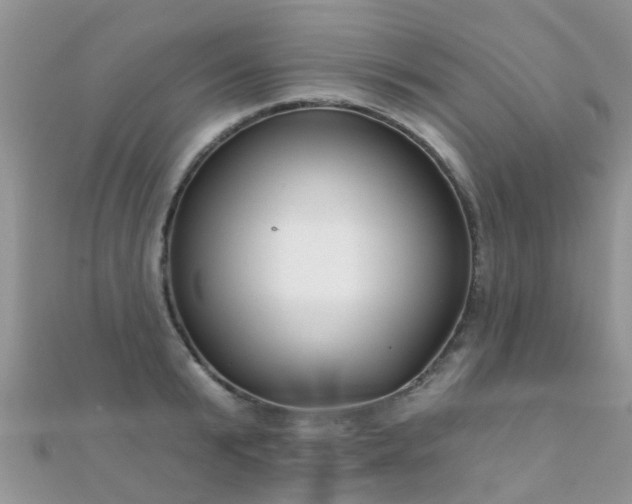 X0000112080799200908111453