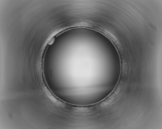X0000112080800200908111453