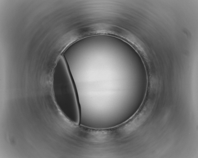 X0000112080801200908111453
