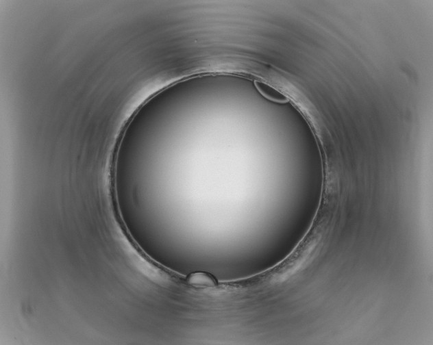 X0000112080803200908111453