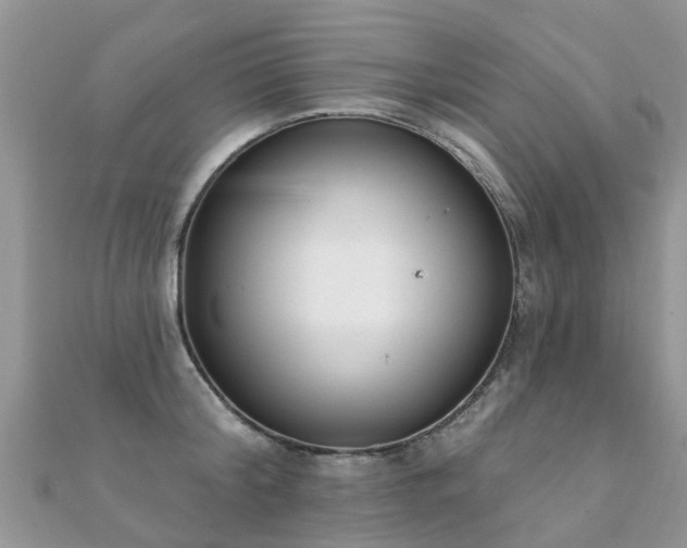 X0000112080804200908111453