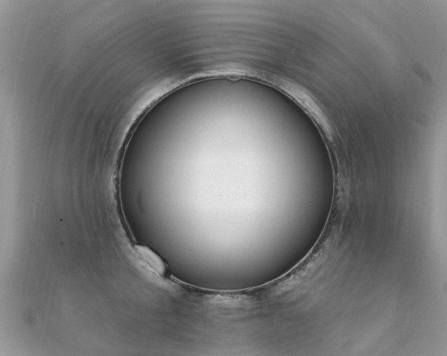 X0000112080805200908111453