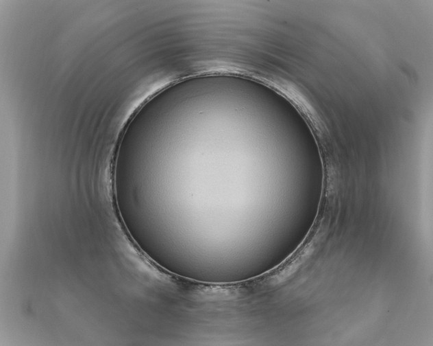 X0000112080806200908111453